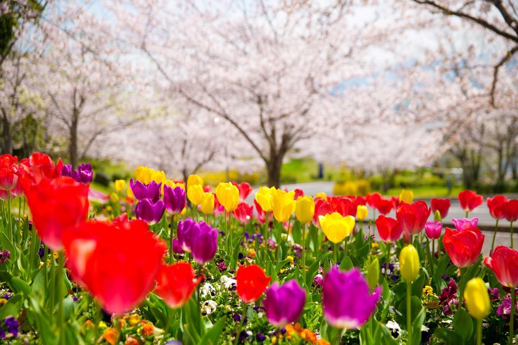 Отель Tresta Shirayama Такамацу Экстерьер фото